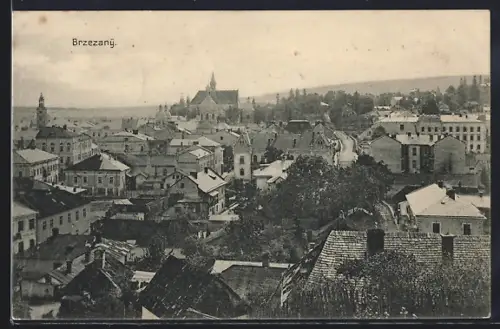 AK Brzezany, Panorama mit Bäumen