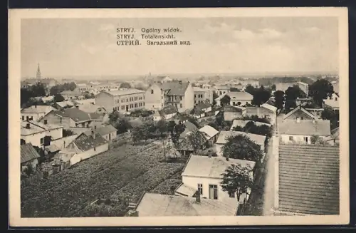 AK Stryj, Ogólny widok