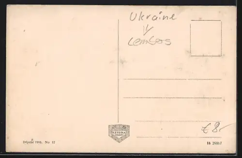 AK Stryj, Ogólny widok