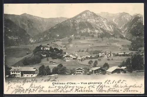 AK Château d`Oex, Vue générale
