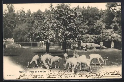 AK Genéve, Parc de l`Ariana