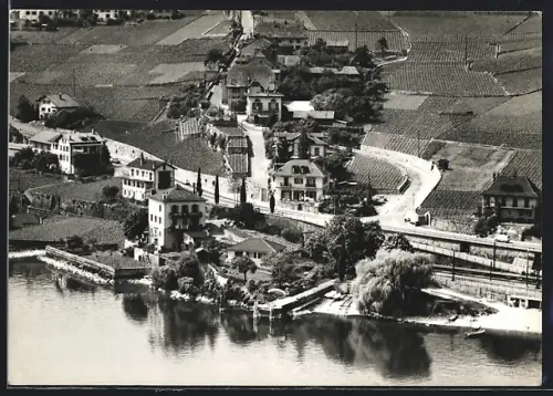 AK Rivaz, Ortspartie mit Strasse, Fliegeraufnahme