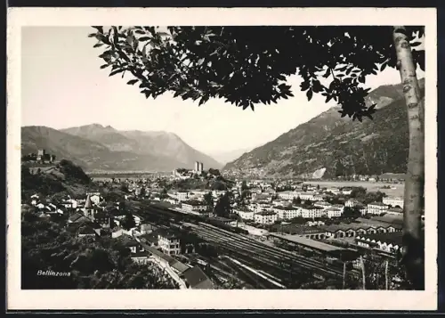 AK Bellinzona, Panorama du Nord