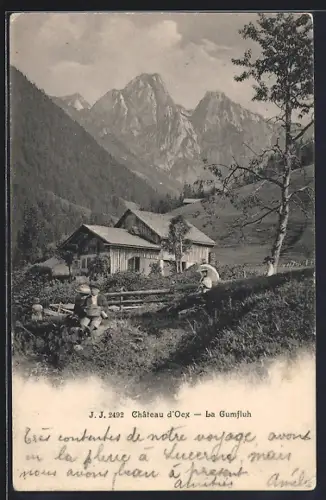 AK Château d`Oex, La Gumfluh