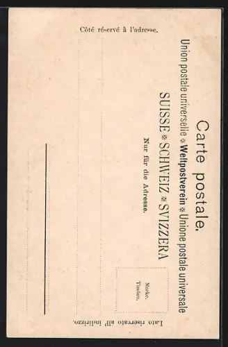 AK Vevey, Entre 2 Villes