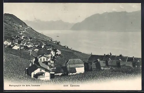 AK Epesses, Panorama mit Bergen
