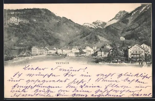 AK Veytaux, Teilansicht mit Bergen