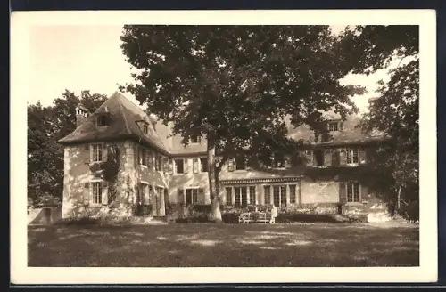 AK Collonge-Bellerive, Genève, Bois de Caran