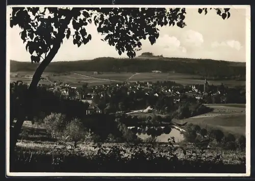 AK Bad Berka i. Thür., Teilansicht mit Bäumen