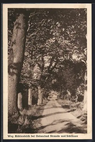 AK Strande, Ostseebad, Weg Mühlenteich bei Schilksee