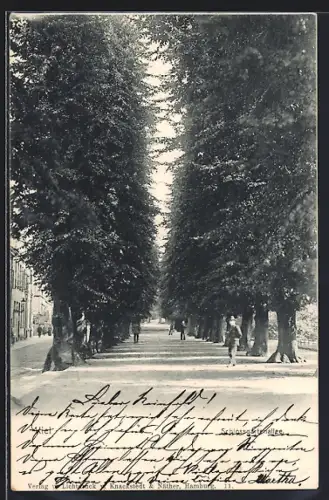 AK Kiel, Schlossgartenallee