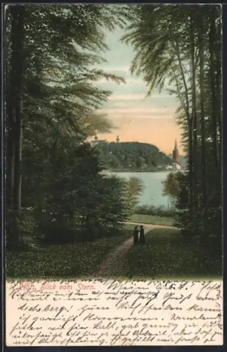 AK Plön, Blick vom Stern
