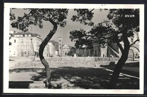 AK Hvar, Strassenpartie mit Bäumen