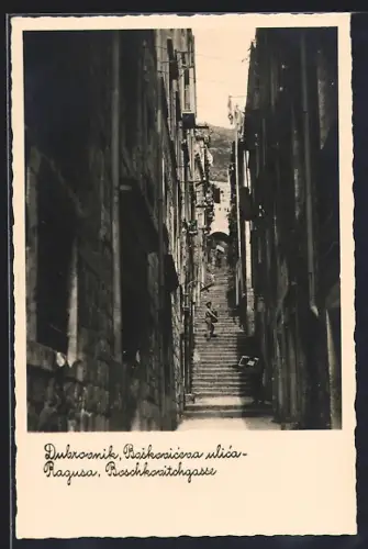 AK Dubrovnik, Boskoviceva ulica