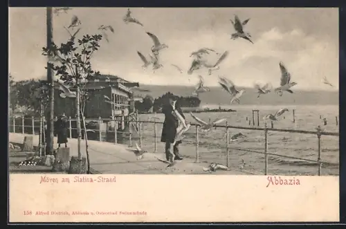 AK Abbazia, Möwen am Slatina-Strand