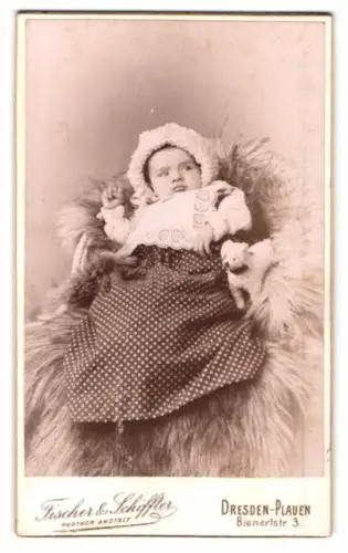 Fotografie Fischer & Schiffter, Dresden-Plauen, Bienertstr. 3, Porträt eines Kleinkinds