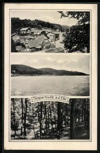 AK Tesperhude a. d. Elbe, Kl. Thüringen, Ortsansicht