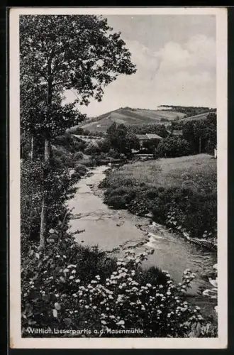 AK Wittlich, Lieserpartie a. d. Hasenmühle