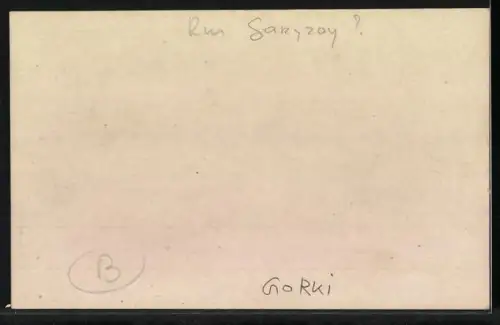 AK Gorki, Ortsansicht mit Brücke aus der Vogelschau