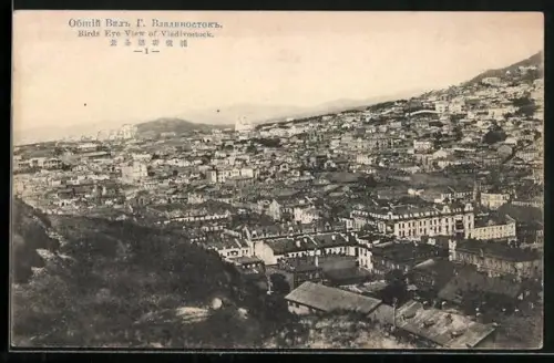 AK Vladivostock, Birds eye view of the city