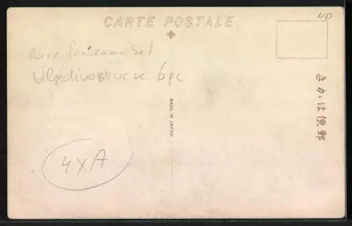 AK Vladivostock, Birds eye view of the city with harbour in the distance