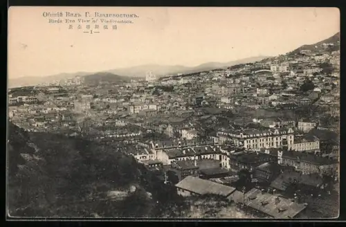 AK Vladivostock, Birds eye view of the city