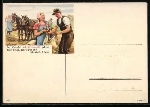 AK Reklame für Kalimagnesia, Düngemittel