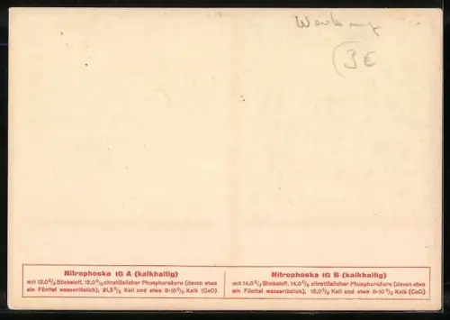 AK Düngemittel-Reklame, Sack mit Nitrophosphat IG (kalkhaltig)