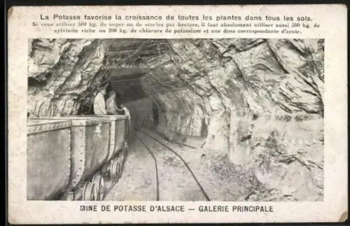 AK Wittelsheim, Mine de Potasse d`Alsace, Galerie Principale