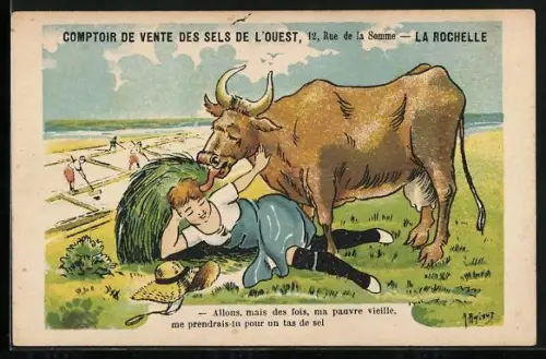 AK Reklame für Sels de l`Ouest