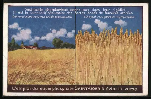 AK Reklame für Superphosphate Saint-Gobain