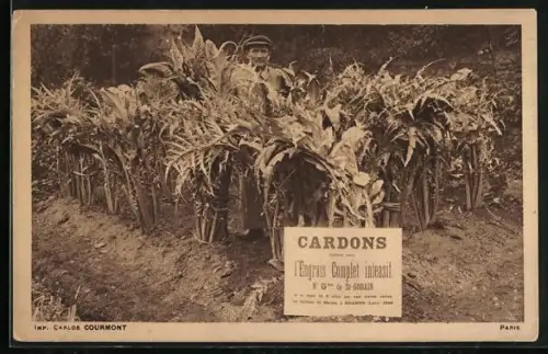 AK Reklame für Engrais Complet intensif