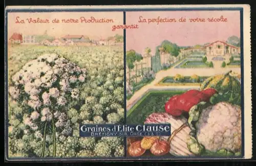 AK Reklame für Graines d`Elite Clause