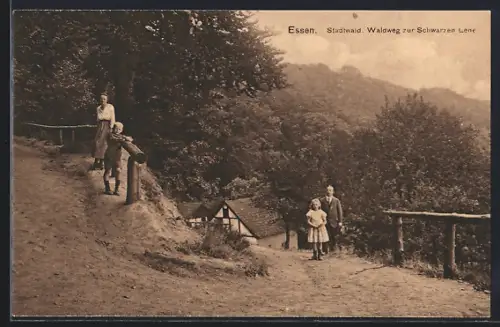 AK Essen / Ruhr, Waldweg zur Schwarzen Lene