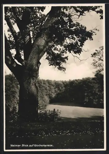 AK Weimar / Thüringen, Blick auf Glockenwiese