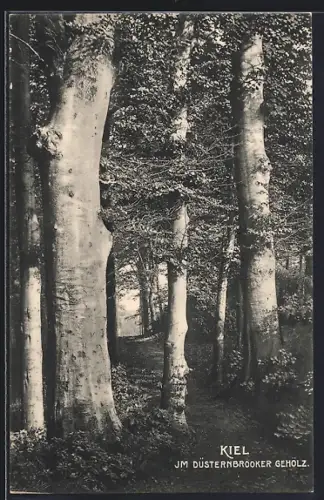AK Kiel, Im Düsternbrooker Gehölz