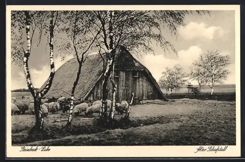 AK Steinbeck / Luhe, Alter Schafstall