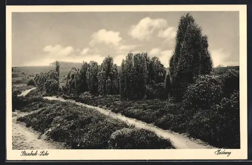 AK Steinbeck / Luhe, Heideweg