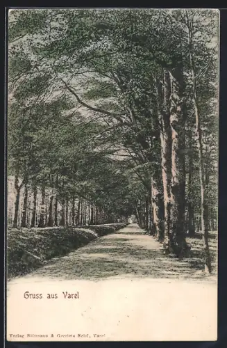 AK Varel / Jade, Baumallee