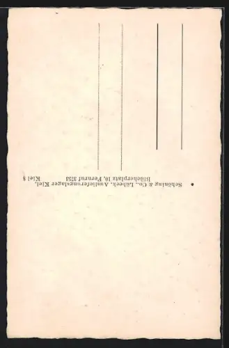 AK Kiel, Totalansicht vom Rathaus