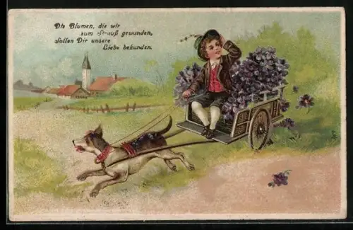 AK Hund zieht einen Karren, auf dem ein Junge sitzt