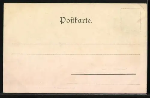 AK Faakersee, Gesamtansicht mit Insel, Türkenkopf und Mittagskogel