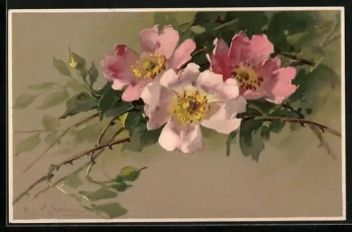 Künstler-AK Catharina Klein: Rosafarbene Blüten am Zweig