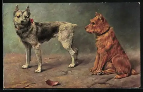 AK zwei Terrier