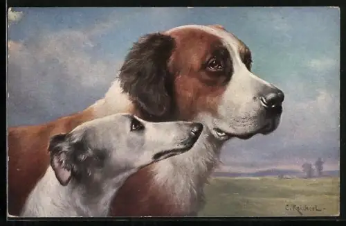 Künstler-AK Carl Reichert: Portrait Bernhardiner und Persischer Windhund