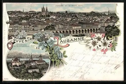 Lithographie Lausanne, Ville et le Grand Pont, le Chateau et la Cathédrale