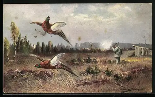 Künstler-AK M.Müller jun.: Federwild