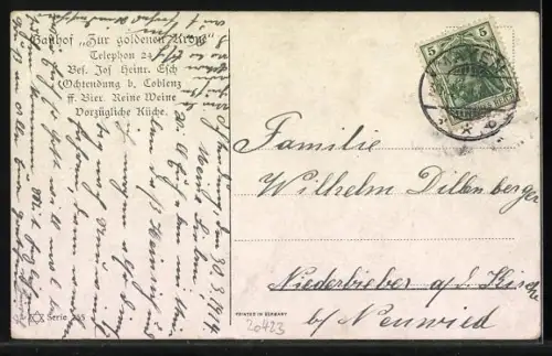 Künstler-AK Alfred Schönian: Hühner, Pfau, Truthahn an einem Wassertrog