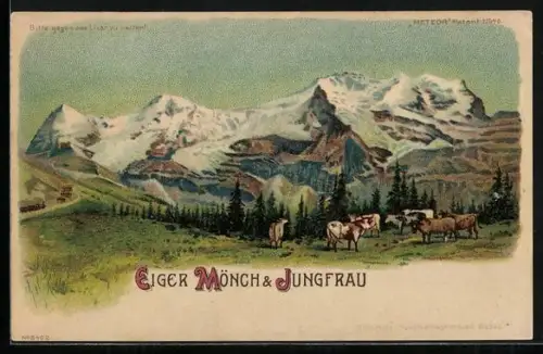 Lithographie Eiger, Mönch und Jungfrau, Kühe auf einer Weide, Mondsichel im Gegenlicht, Halt gegen das Licht