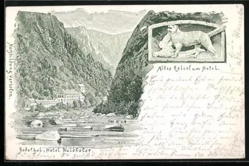 Vorläufer-AK Thale i. Harz, 1895, Blick in das Bodetal mit Hotel Waldkater, Bergmassiv, Altes Relief am Hotel